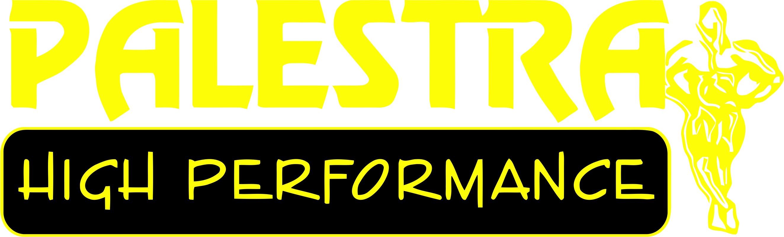 Palestra High Performance